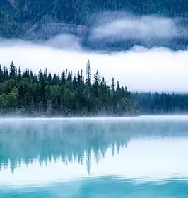 Patriot Designer Series Inspiration - forest with a lake and cloud - Garage Living